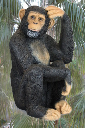 Schimpanse kopfkraulend - zum Schließen ins Bild klicken
